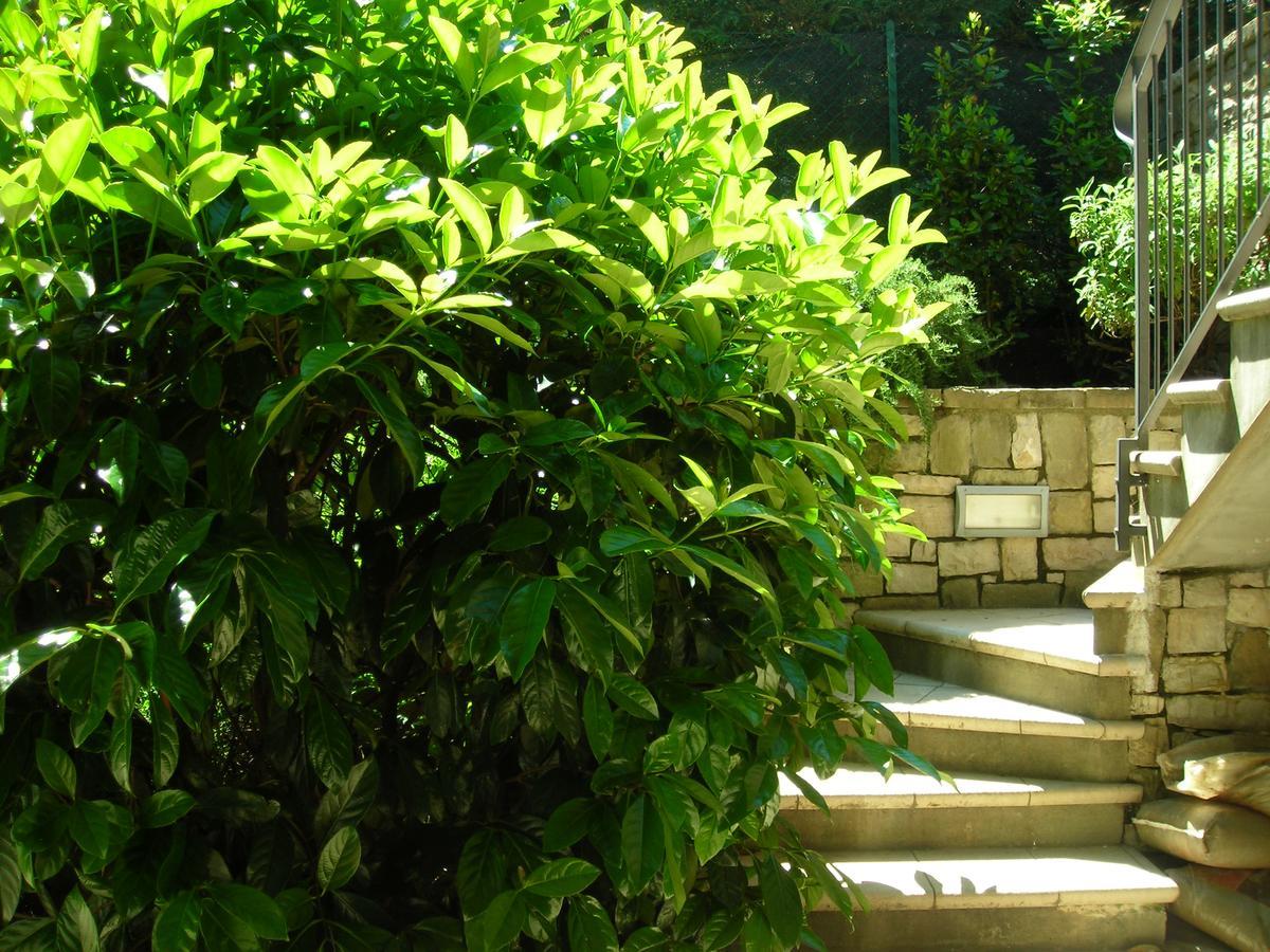 La Folaga Bed & Breakfast กาวิราเต ภายนอก รูปภาพ